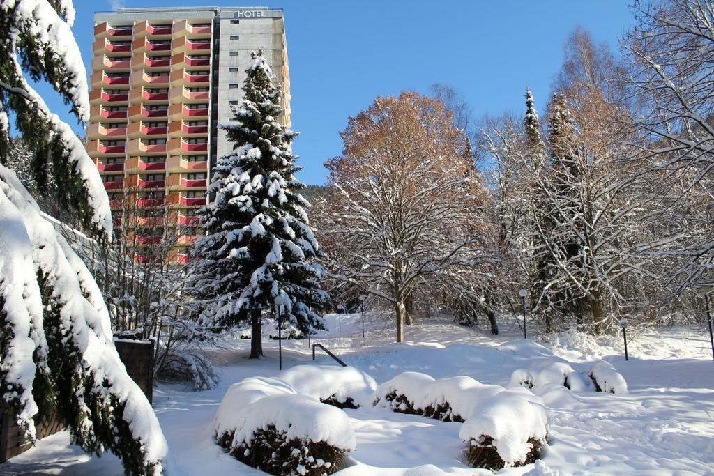 Familien Apartmenthotel Panoramic Bad Lauterberg Eksteriør bilde